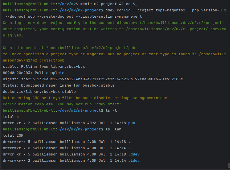 ddev config command output screenshot