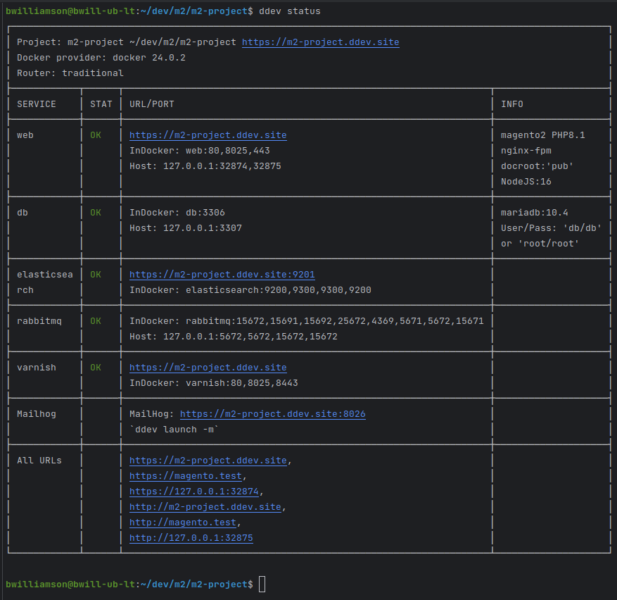 ddev describe output