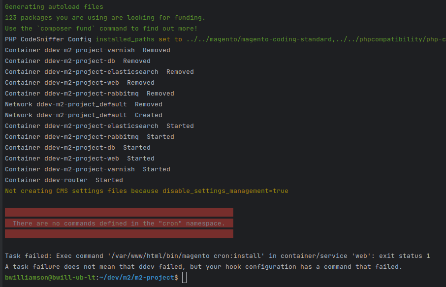 ddev composer create output