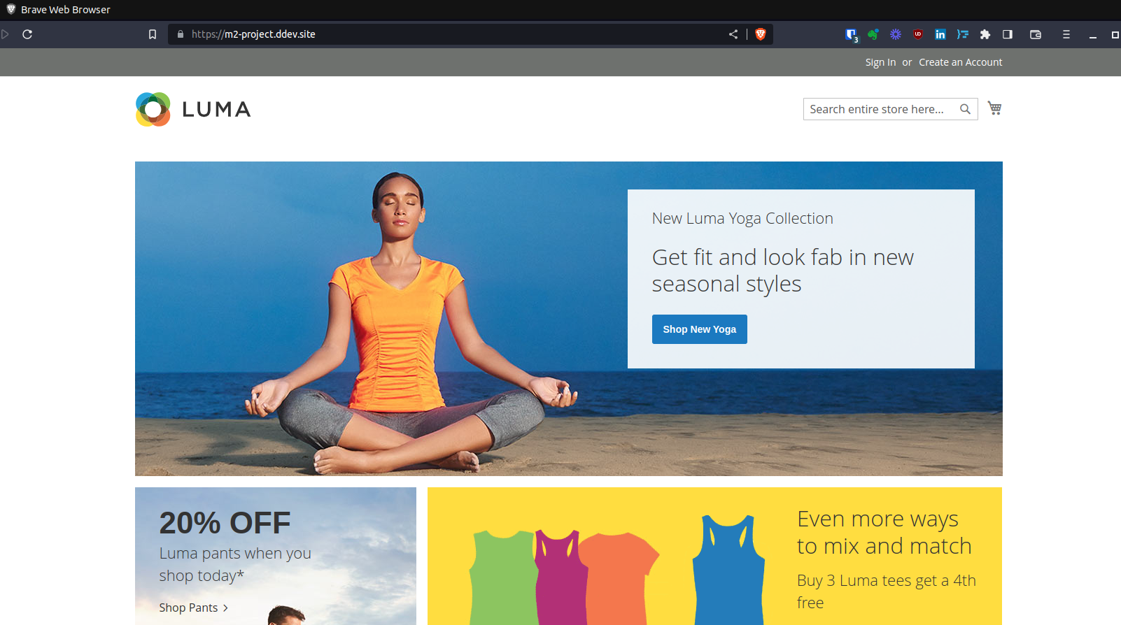 magento project frontend